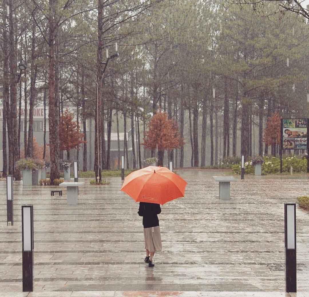 Tháng 8 mưa Đà Lạt