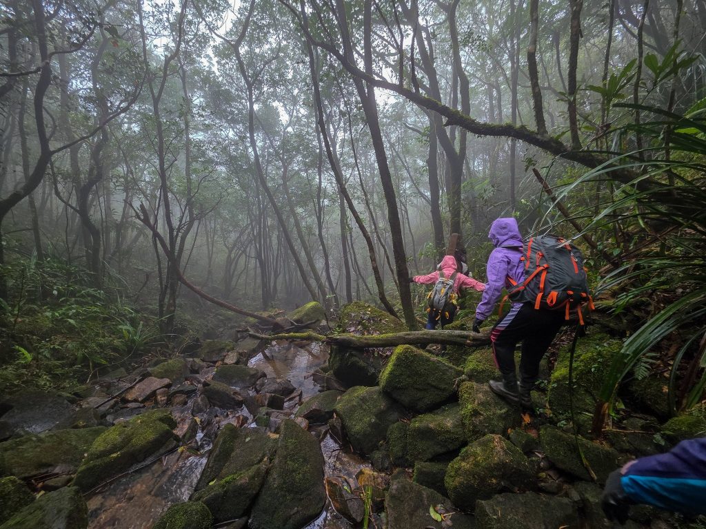 Du lịch trải nghiệm