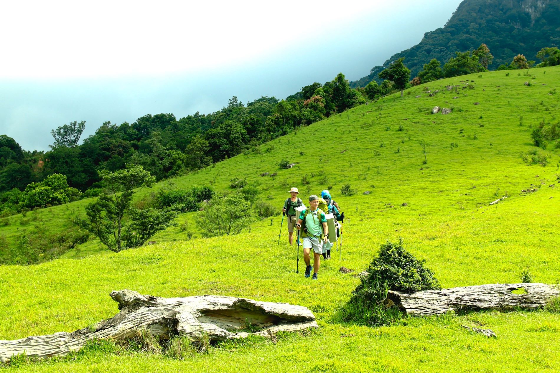 Trekking cánh đồng cỏ Xa reng Quảng Trị